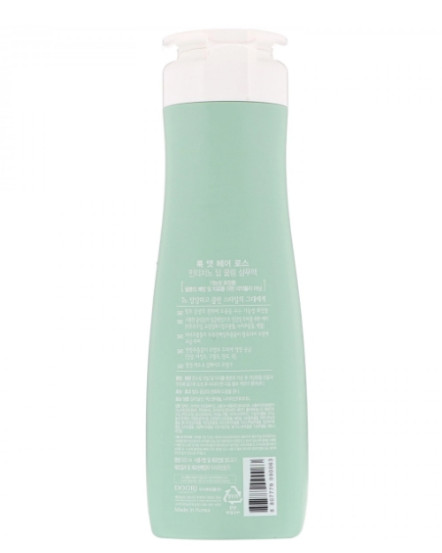 Шампунь від випадіння волосся освіжаючий проти лупи Daeng Gi Meo Ri Look At Hair Loss Minticcino Deep Cooling Shampoo, 500 мл
