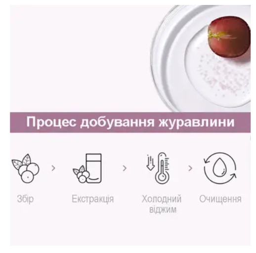 Стартовая эссенция с ресвератролом и экстрактом клюквы Dr.Ceuracle Vegan Active Berry First Essence, 150 мл