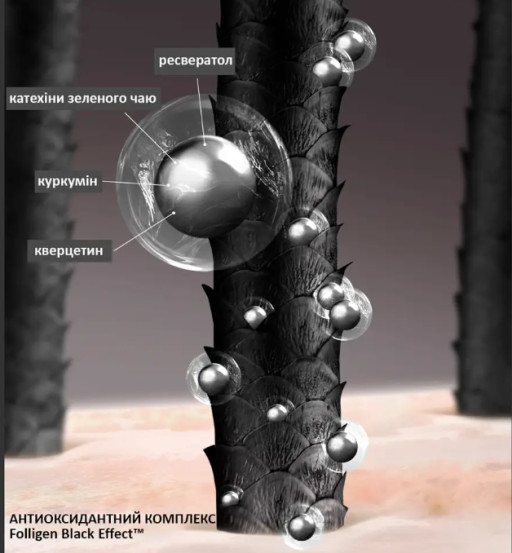 Шампунь для восстановления цвета седых волос Dr.FORHAIR Folligen Black Shampoo, 500мл