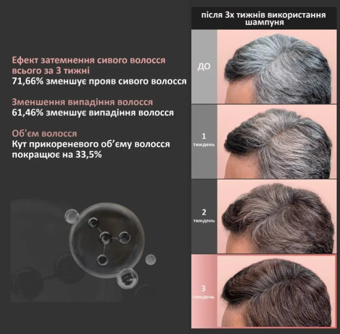Шампунь для восстановления цвета седых волос Dr.FORHAIR Folligen Black Shampoo, 500мл