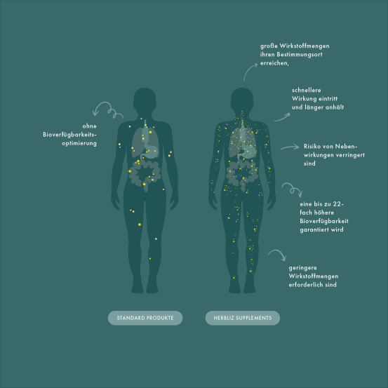 Харчова добавка в краплях Herbliz OPC - Grape seed extract, 10 мл