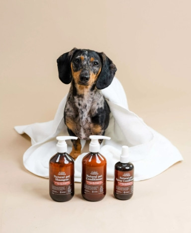 Шампунь для домашніх улюбленців REF Furry Friends Natural Pet Shampoo, 500 мл