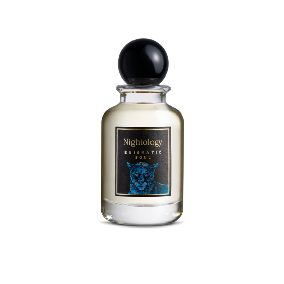 Туалетная вода унисекс Jesus Del Pozo NIGHTOLOGY ENIGMATIC SOUL Eau de Parfum Vapo, 100 мл