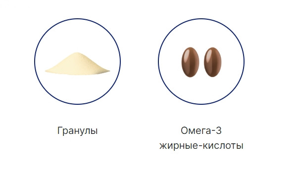 Вітаміни проти запальних захворювань суглобів Orthomol Chondroplus, 30х15г + 60 капсул