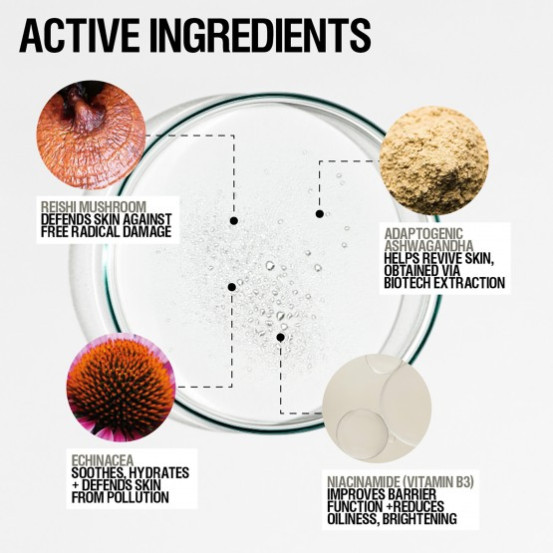 Тоник-спрей для обновления кожи Grown Alchemist Skin Renewal Toner Mist, 100 мл