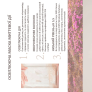 Маска для обличчя Needly Peony Jelly Mask, 33 мл